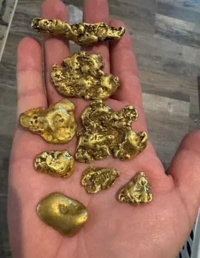 A hand holding several gold nuggets.