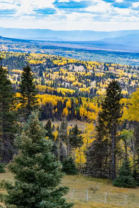 A wide view of a forested landscape with autumn-colored trees and rolling hills under a cloudy sky.