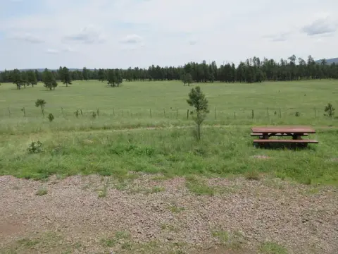 A grassy field with a picnic table and trees in the distance.