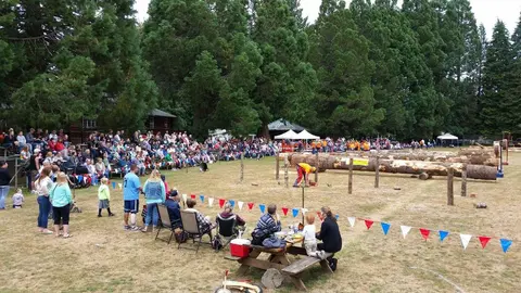A crowd watches a logging competition outdoors.