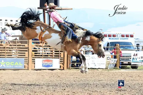 A cowboy riding a bucking horse at a rodeo.