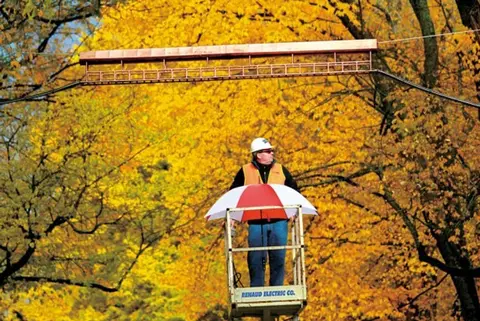 A worker stands in a lift basket holding an umbrella in front of autumn foliage.