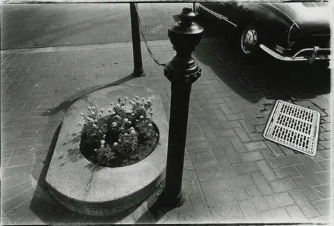 A black and white photograph shows a sidewalk planter, a bollard, and part of a parked car.