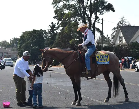 A man on a horse in the street allows children to pet it.