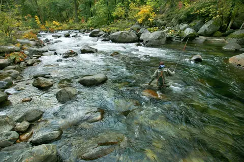 A person fly fishes in a rocky river surrounded by autumn foliage.