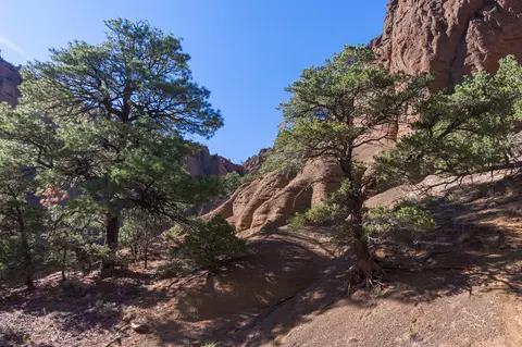 Cinder formations, Red Mountain Trail.