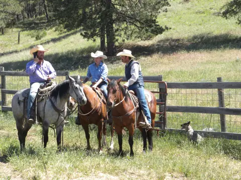 Three people on horseback near a fence with a dog nearby.