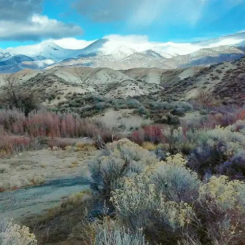 A scenic landscape view of brushy hills and snow-capped mountains under a blue sky.