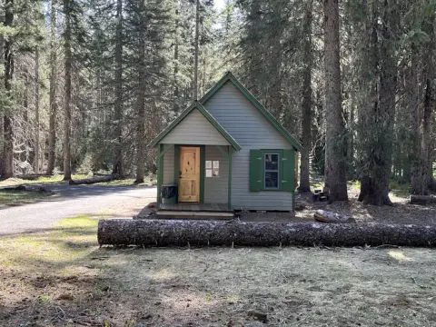 A small cabin in a forest surrounded by tall trees.