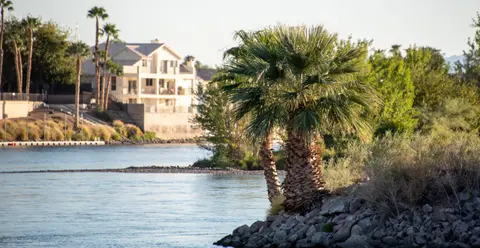 A riverbank with palm trees and a house across the water.