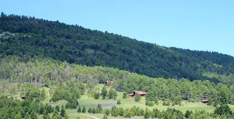 A forested hill with small cabins nestled in the trees.