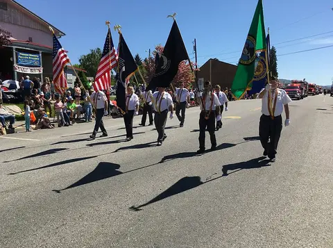 A color photograph of people carrying flags in a street parade.