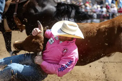 A cowboy wrestles a steer in the dirt arena at a rodeo.