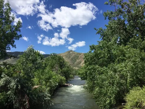 A river flows through green trees toward a mountain under a blue sky with white clouds.
