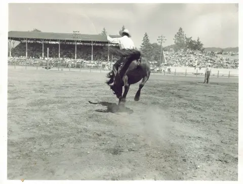 A cowboy rides a bucking horse in an arena with spectators in the background.