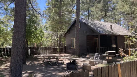 A dark wooden cabin sits in a forest clearing with a picnic table and grill outside.