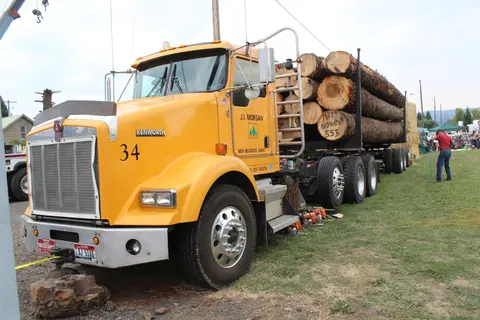 A yellow logging truck loaded with logs is parked on a grassy area.