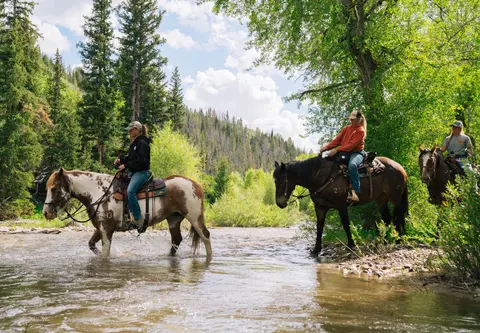 People riding horses through a shallow river.