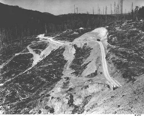 A black and white photograph shows a winding dirt road carved into a logged hillside.