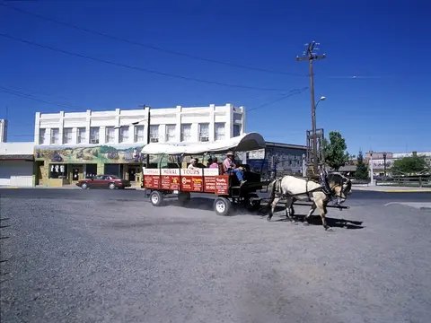 A horse-drawn wagon carries passengers along a street past a building with murals.
