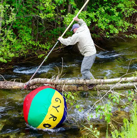A person balances with a long pole on a log crossing a stream, with a large beach ball below in the water.