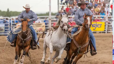 Three cowboys ride horses at a rodeo event.