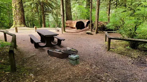 A forested campsite with a picnic table and fire ring.