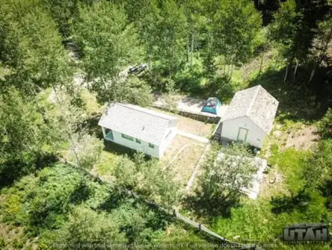 An aerial view shows two small buildings surrounded by dense green trees and vegetation.