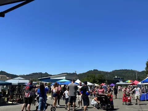A crowd of people gathers outdoors at a street fair or market on a sunny day.
