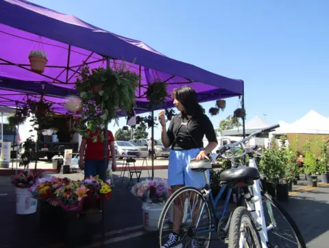 A person stands next to a bicycle under a purple canopy at an outdoor market.