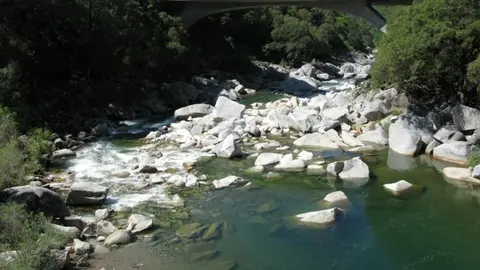 A river flows over a rocky bed beneath a bridge, surrounded by trees.