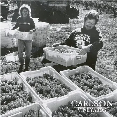 Two workers handle bins of harvested grapes outdoors.