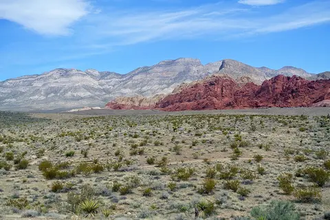 A desert landscape with mountains in the background under a blue sky.