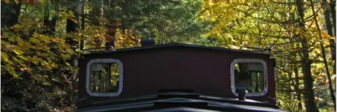 A train travels through a wooded area with autumn foliage.
