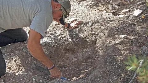A person digs into the dirt with a small tool on a hillside.