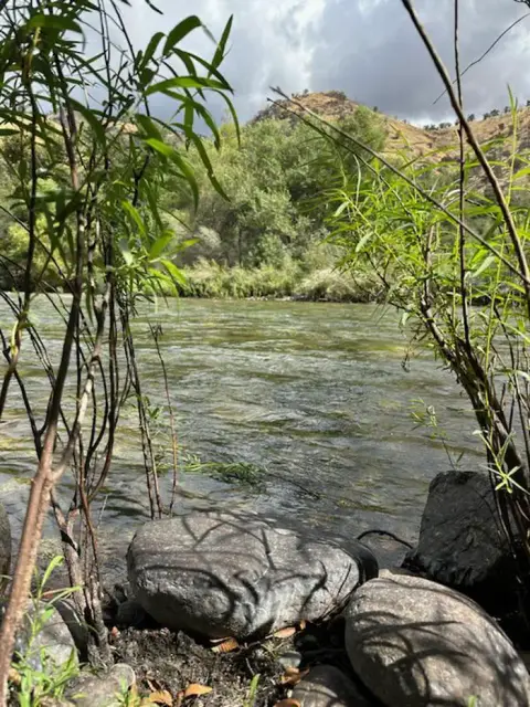 A view of a river framed by trees and rocks.