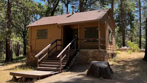 A small brown cabin with wooden stairs stands among trees.