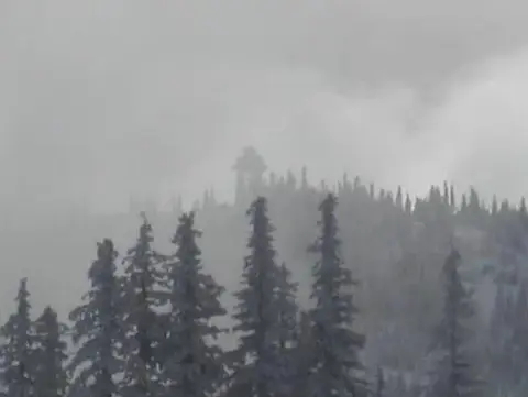 A foggy landscape with evergreen trees and a structure on a distant ridge.