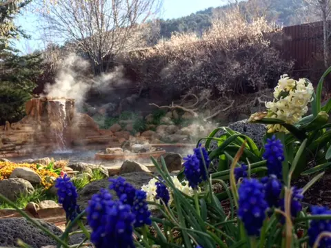 A steaming hot spring with flowers in the foreground.
