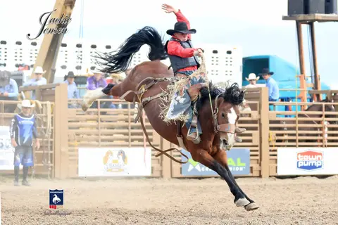 A cowboy rides a bucking horse at a rodeo.