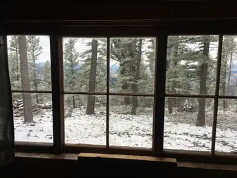 A view of a snowy forest through a multi-pane window.