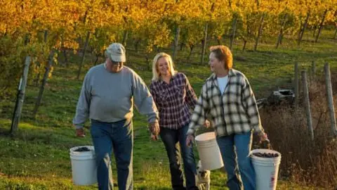 Three people carrying buckets through a vineyard.