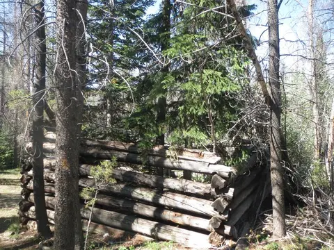 An old log structure stands among trees in a forest.