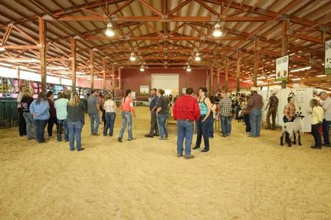 People gather inside a large wooden livestock barn.