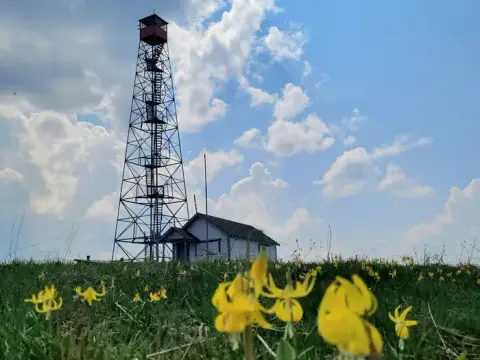 A tall metal fire lookout tower and a small building stand in a grassy field with yellow wildflowers.