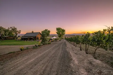 A dirt road runs past a vineyard and a building at sunset.