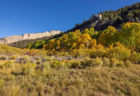 A scenic view of a field with autumn trees and a rocky mountain ridge under a blue sky.