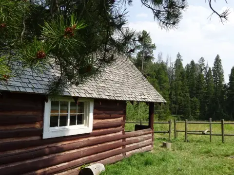 A rustic log cabin sits in a grassy clearing surrounded by pine trees.