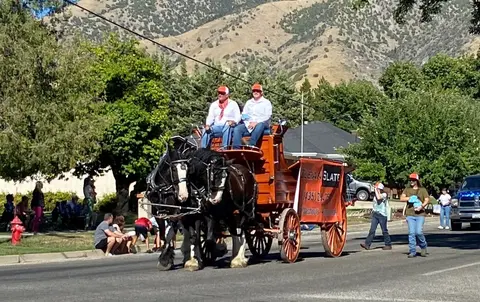 A horse-drawn carriage participates in a parade with spectators along the street.