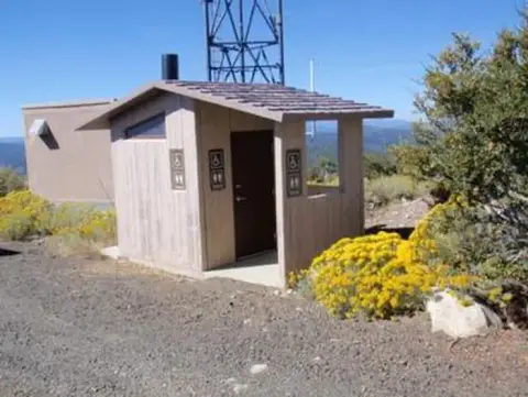 A small wooden restroom building outdoors with yellow flowers nearby.